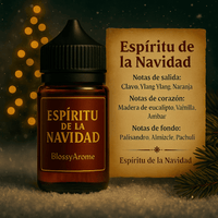 1er Pack PREVENTA Colección Invierno / Navidad