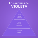 Los Aromas de Violeta