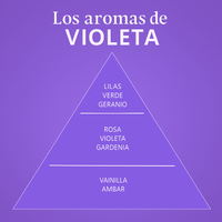 Los Aromas de Violeta